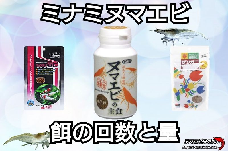 ミナミヌマエビ10匹 水槽内でも殖える エビ 水槽内のコケにも効果的 飼育用 餌用にも 【67%OFF!】 水槽内のコケにも効果的