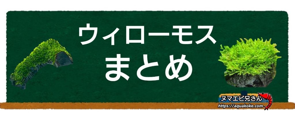 ウィローモスの水温と水質はコチラ 最適な環境で綺麗に伸ばす ヌマエビ兄さんのアクアリウム